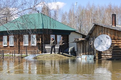 Picture: Жители Челябинской области лишились животных из-за паводка