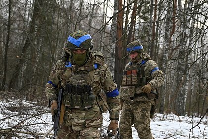 Picture: Путин заявил Трампу о необходимости остановить мобилизацию на Украине и перевооружение ВСУ