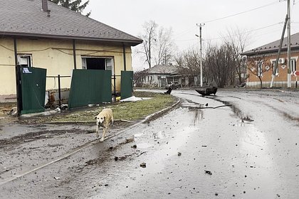 Picture: ВСУ обстреляли жителей Суджи кассетными боеприпасами