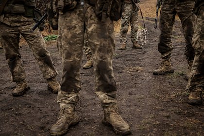 Picture: В Харьковской области рассказали об отправке ВСУ на фронт мобилизованных в наручниках