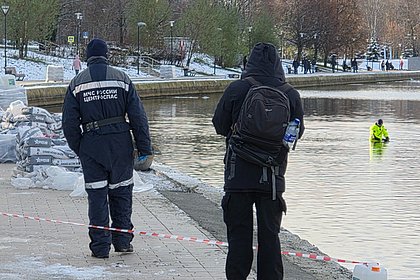 picture: Раскрыт грозящий расчленившей сына россиянке срок