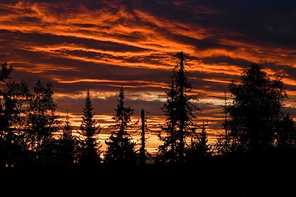 picture: Появились новые детали о прошлом пропавшего в тайге с семьей бизнесмена Усольцева