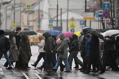 Picture: Москвичей призвали отказаться от машин