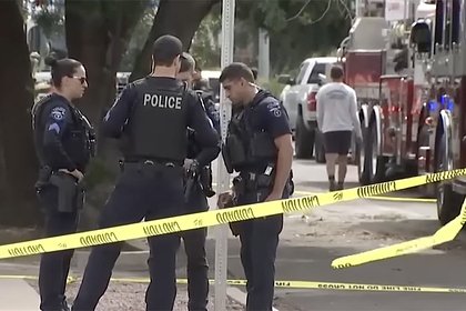 picture: Рабочего насмерть придавило пальмовыми листьями