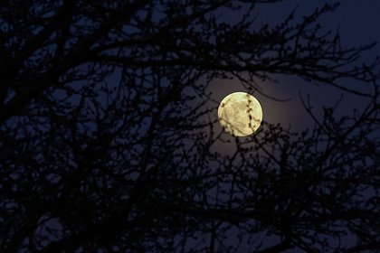 Picture: Оставшимся без света украинцам пообещали вернуть его к августу