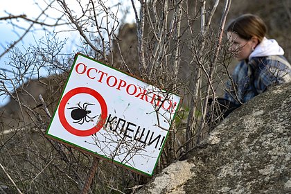 picture: Россиянам дали рекомендации по защите от клещей