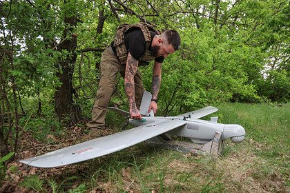 picture: Эстония призвала Украину держать свои беспилотники подальше