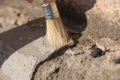 picture: 11-летний мальчик нашел останки древнего морского ящера