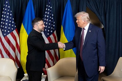 picture: Стало известно о скорой встрече Трампа с Зеленским