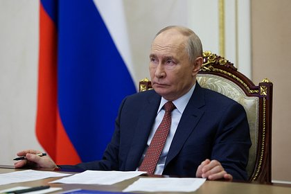 picture: Путин оценил бойцовские качества Трампа