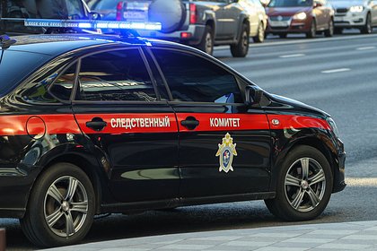 picture: Россиянка ответит перед законом за впавшего в кому сына после трех часов в запертой машине