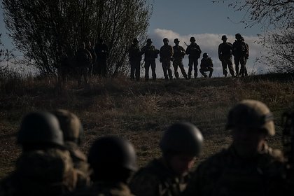 Picture: Власти Украины раскрыли мотивацию указа Зеленского об отряде в честь УПА