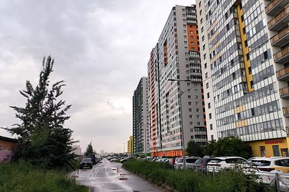 picture: Маткапиталу придумали новое применение