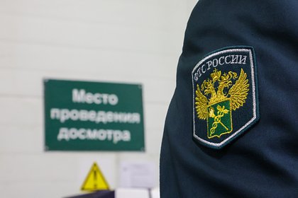 picture: Набитые миллионами рублей чемоданы нашли у россиянина в аэропорту