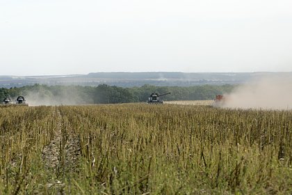 picture: Украинские аграрии попросили помощи из-за остановки работы черноморских портов