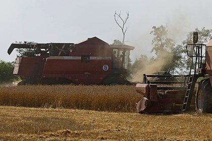 picture: В Британии заявили об угрозе экономике Украины из-за произошедшего в Одессе