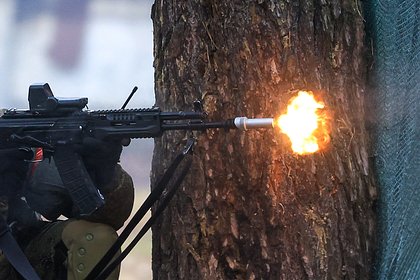 picture: Раскрыты потери ВСУ на одном направлении в зоне СВО