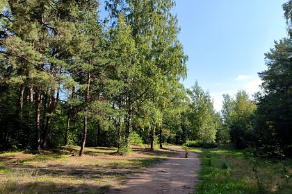 picture: Части россиян пообещали аномальный сентябрь