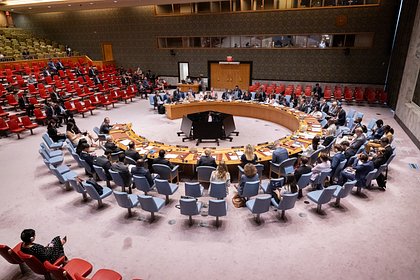picture: США не присоединились к антироссийскому заявлению ООН по Украине. Что сказали дипломаты по итогам заседания?