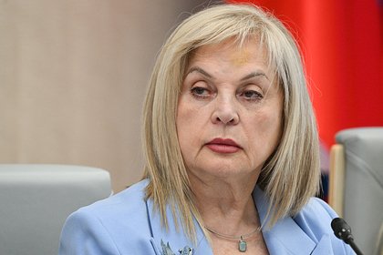picture: Памфилова предупредила кандидатов о риске получить «щелчок по носу» от избирателей